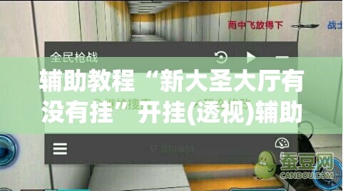 辅助教程“新大圣大厅有没有挂”开挂(透视)辅助教程