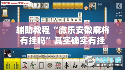 辅助教程“微乐安徽麻将有挂吗”其实确实有挂