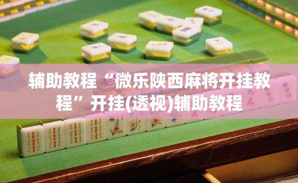 辅助教程“微乐陕西麻将开挂教程	”开挂(透视)辅助教程