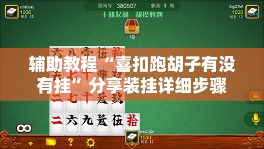 辅助教程“喜扣跑胡子有没有挂”分享装挂详细步骤